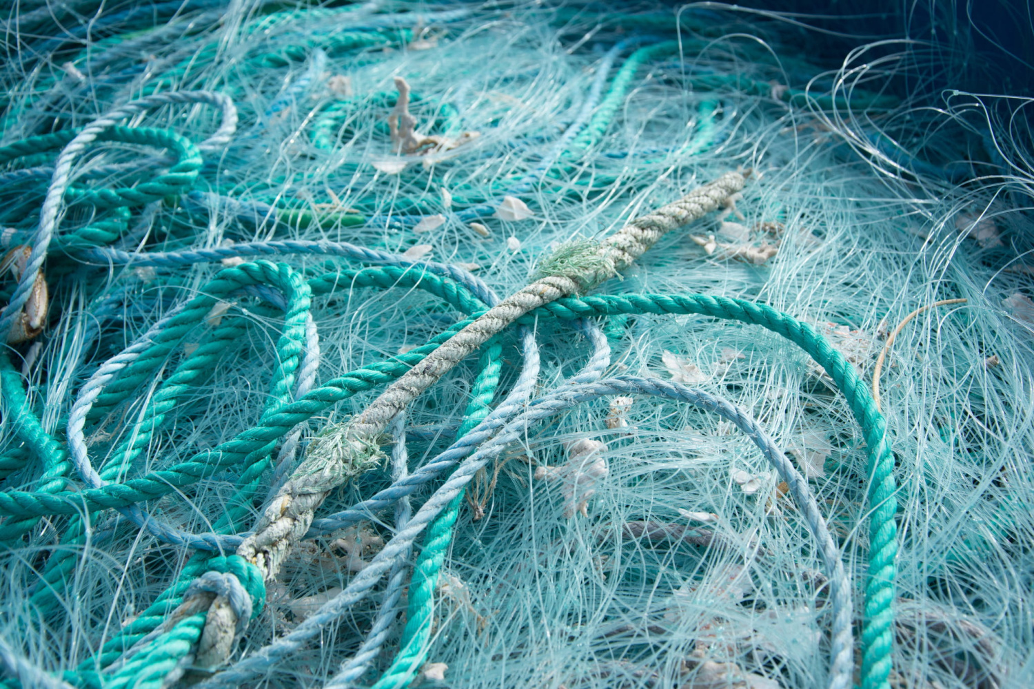 Rope Maintenance1