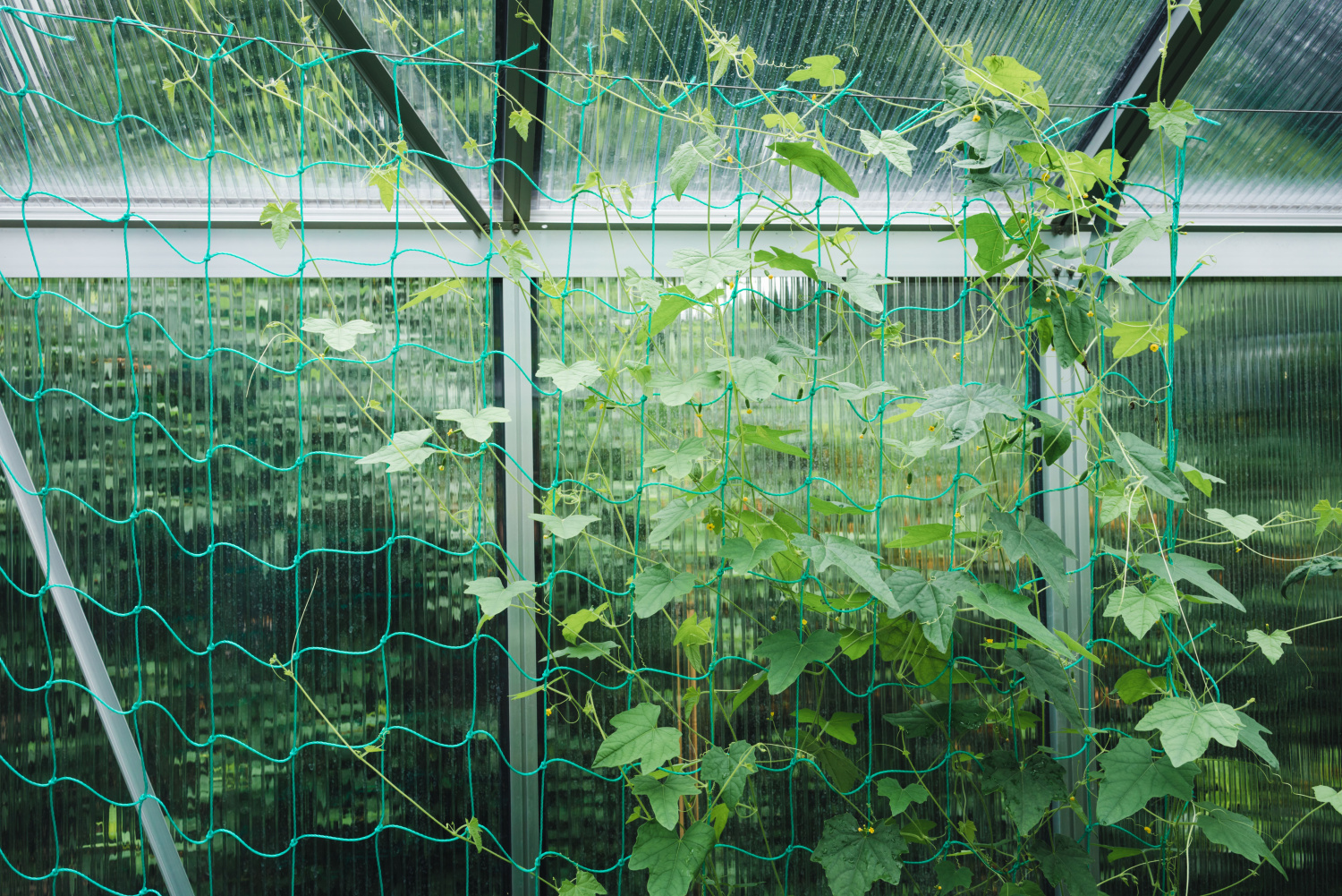 Quality PE Agro Net in Tamilnadu